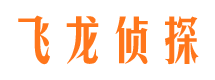 环县市侦探调查公司